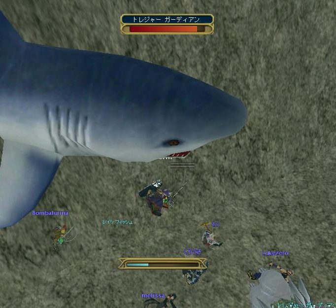 サメって強いな！